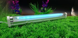 Бактерицидные лампы как один из эффективных способов борьбы с бактериями