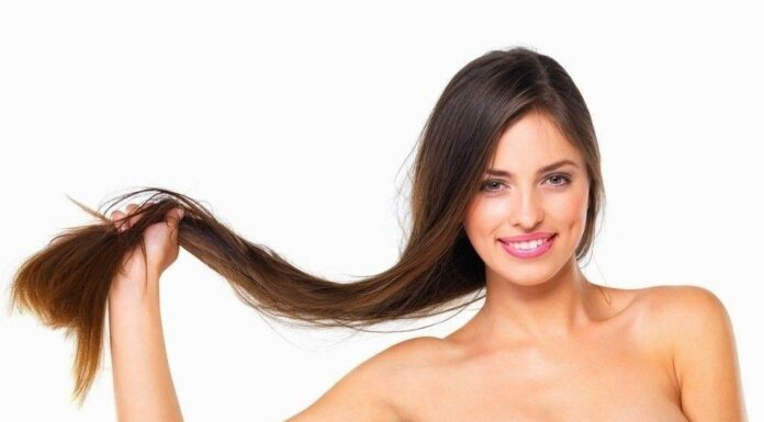 Самое изучаемое дерево в мире и его применение в косметологии