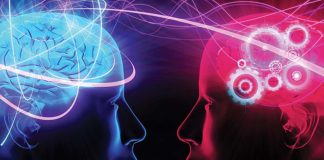 Как понять других и самого себя: курсы психологии