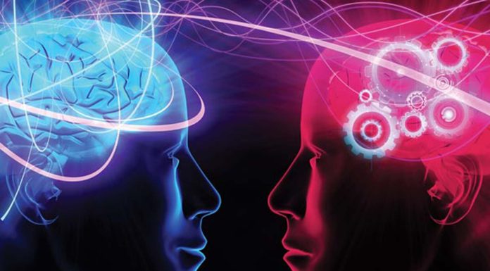 Как понять других и самого себя: курсы психологии