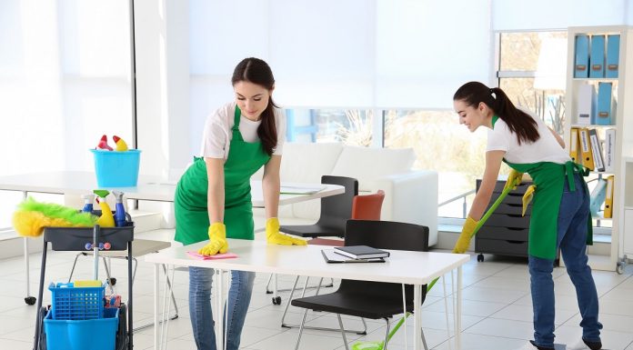 Экологичный подход к клинингу: оздоровление вашего жилого пространства и планеты