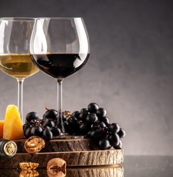 Виноделие: искусство создания великолепных вин